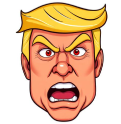 Trump Face